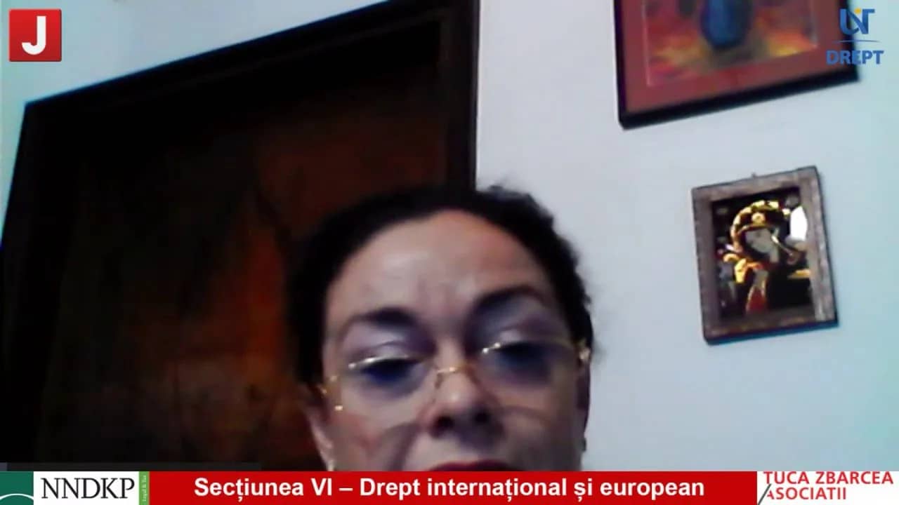Secțiunea VI – Drept internațional și european
