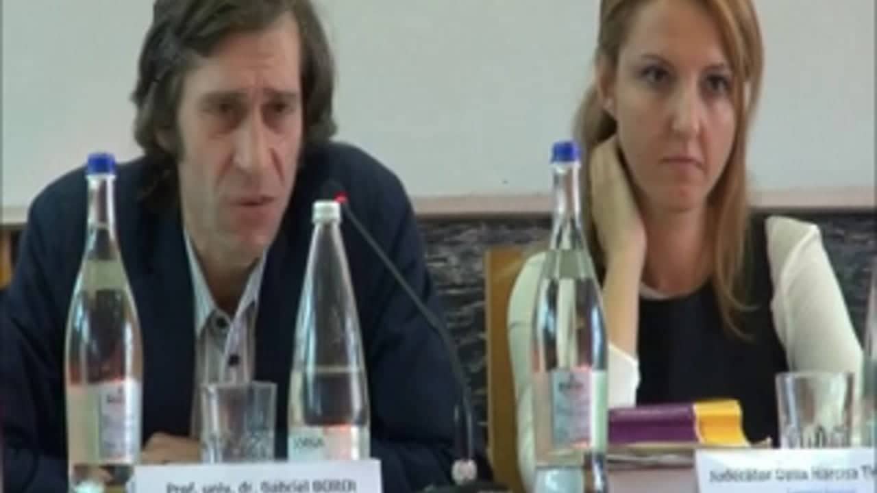 Gabriel BOROI, Traian BRICIU si Delia Narcisa THEOHARI
