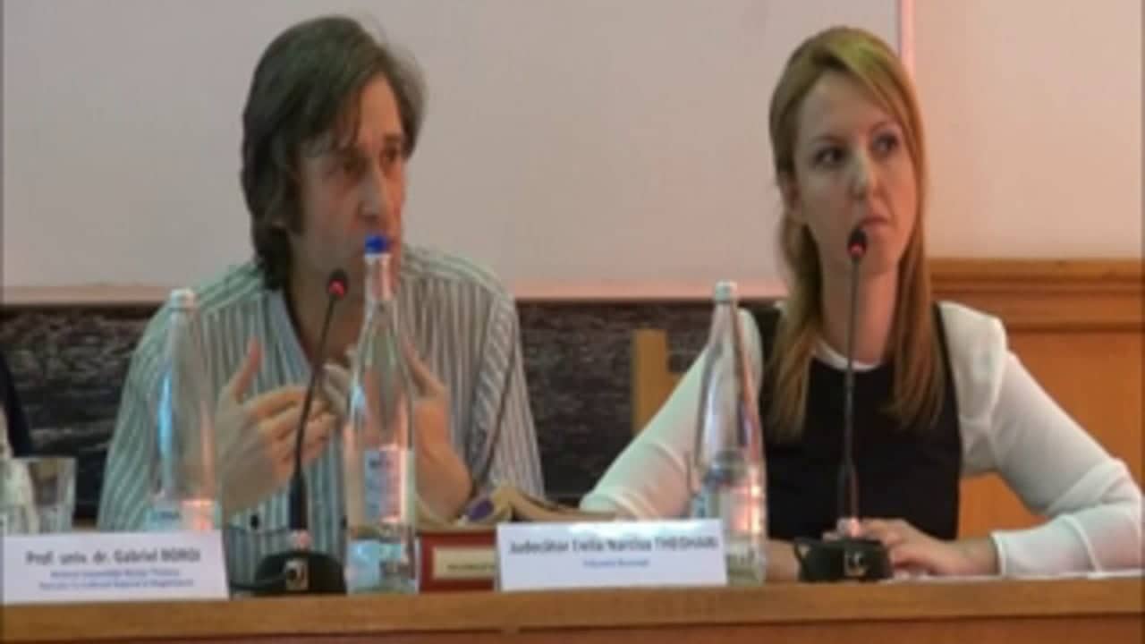 Gabriel BOROI, Delia Narcisa THEOHARI si Veronica DANAILA