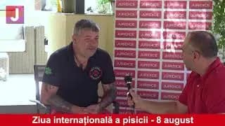 Legal Days | Ziua Pisicii
